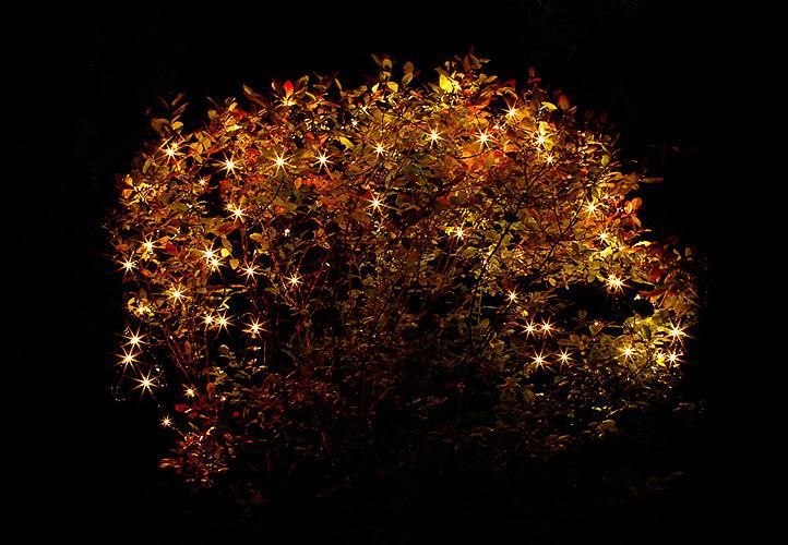 Świąteczne oświetlenie świecąca sieć 3 x 3 m ciepła biel z timerem 128 LED